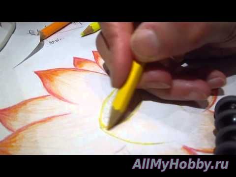 Видео мастер-класс: Рисование The sound of color pencil asmr