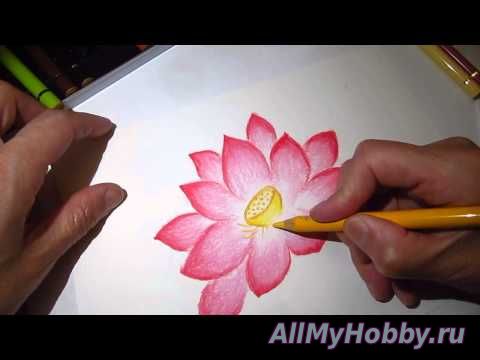 Видео мастер-класс: Рисование ClassPlan - Drawing lotus with pastel pencil asmr